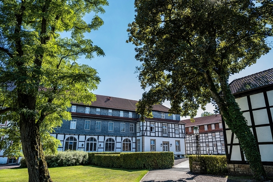 Der Gräfliche Park in Bad Driburg. Hohe Bäume stehen vor Fachwerkhäusern. Es ist ein sonniger Tag. Der Gräfliche Park in Bad Driburg. Hohe Bäume stehen vor Fachwerkhäusern. Es ist ein sonniger Tag.